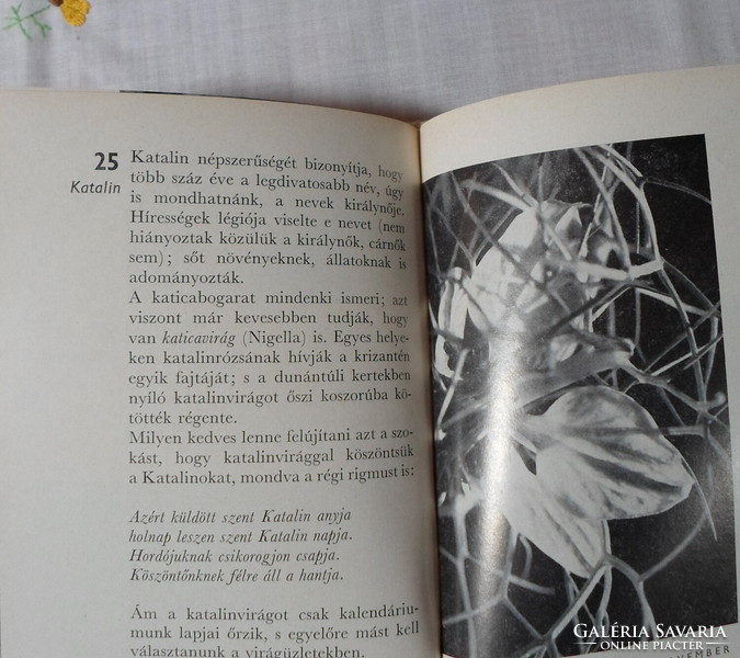 Mária Sulyok – Zsuzsa tanner: flower calendar (name day flower recommendation, 1968)