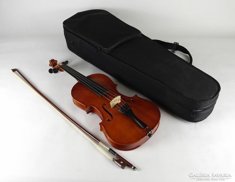 1P891 beautiful violin with case and strings