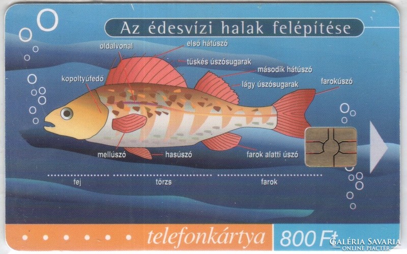 Hungarian phone card 0551 2001 rifle biology 3 gem 7 28,200 Pieces