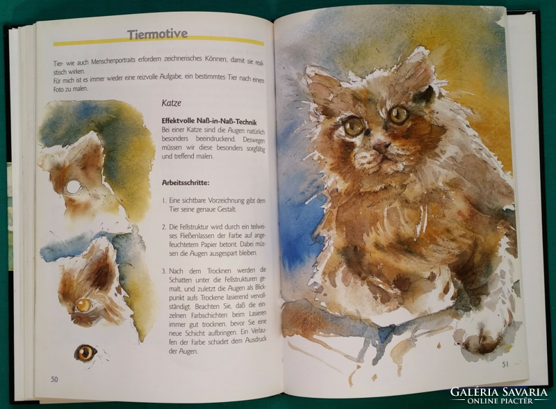 Monika reiter-zinnau: aquarellmalerei - aufbaukurs - watercolor painting, hobby, foreign language book