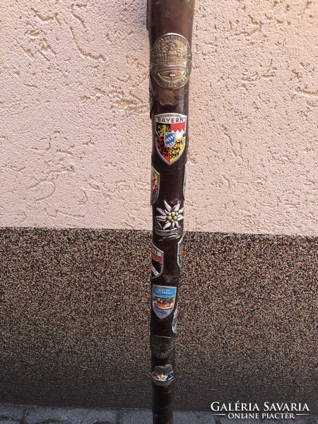 Walking stick with stick labels