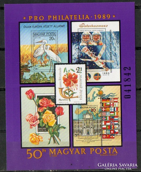 A - 054 Hungarian blocks, small sheets: 1989 pro philately '89