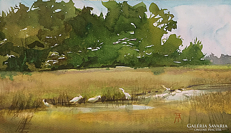 tibor Bálinth: bird paradise on the island (watercolor, 17cm x 29cm, paper-250gr.) Portrait of birds