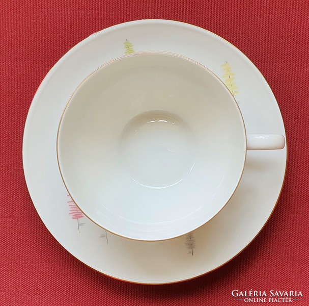 Arzberg német porcelán teás kávés szett csésze csészealj tányér