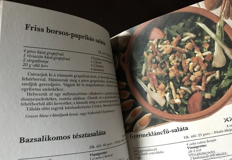 Jean-philippe guggenbuhl: salad book (pocket cookbooks)