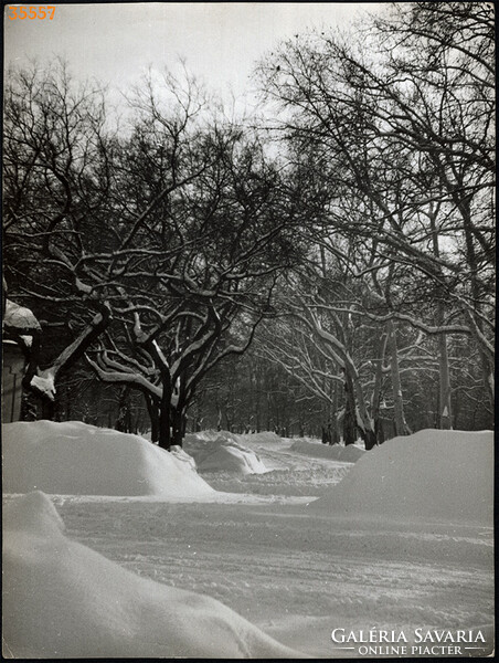 Larger size, photo art work by István Szendrő. Snowy landscape, still life, landscape, 1930s.