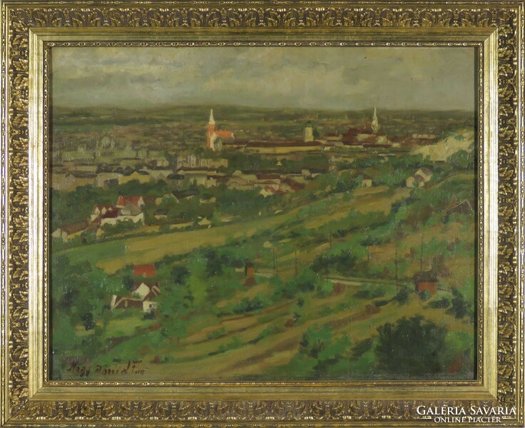 Dániel Ferenc Nagy: city view