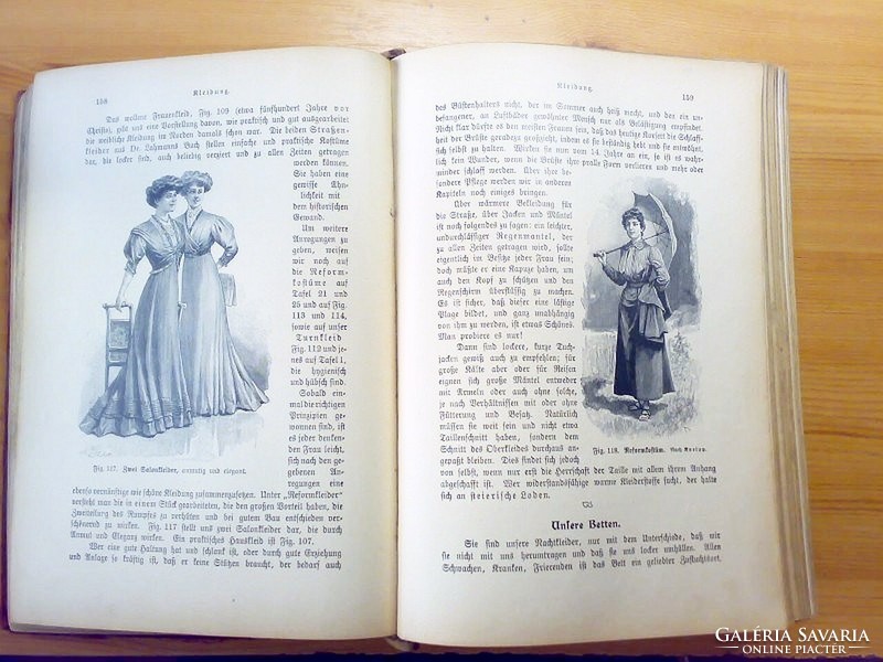 Das goldene frauenbuch. Hölgy házvezetőnőknek. Német nyelvű. XIX. századi Orvosi kézikönyv nőknek
