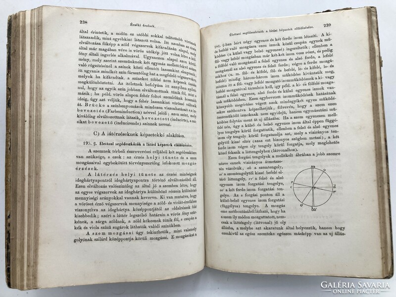 Gebhardt Lajos: Az emberélettan alapvonalai Wundt nyomán, 1869 - antik orvosi könyvritkaság