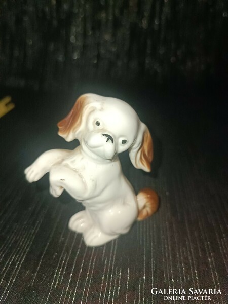 Pitiző porcelán kutyus