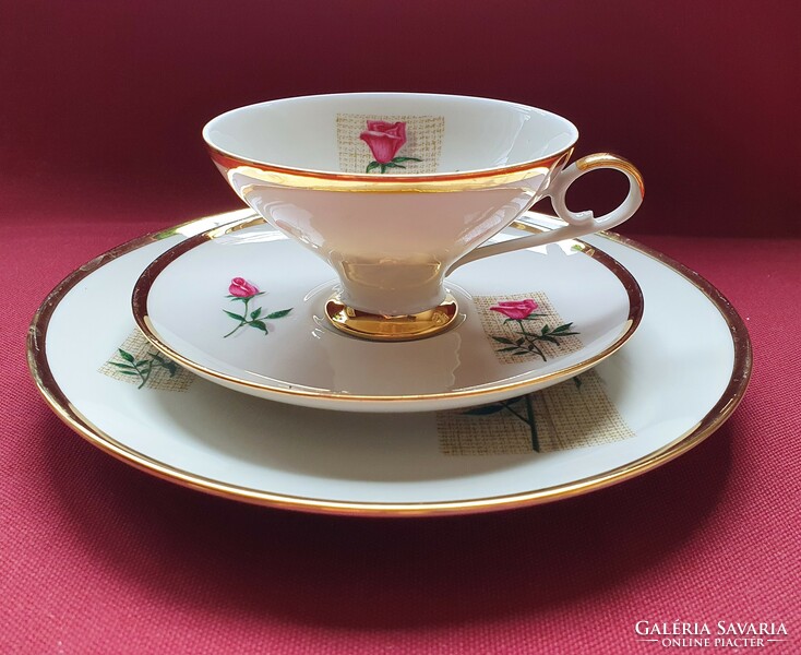 Bareuther waldsassen bavaria german porcelain breakfast coffee tea set cup saucer small plate