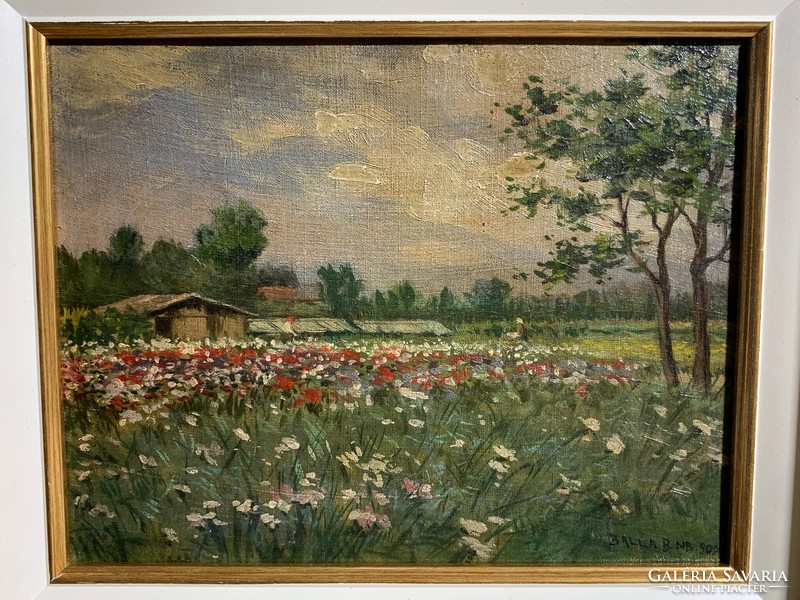 With Béla Balla mark, oil on wood, painting, Nagybánya landscape, 22 x 28 cm. 0321