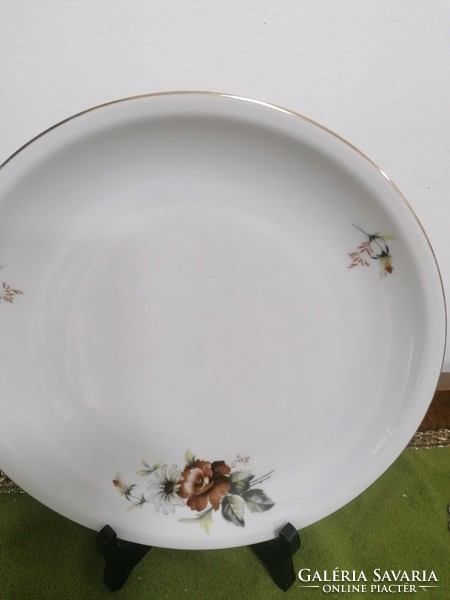Rare lowland porcelain retro brown rose large flat plate + mug