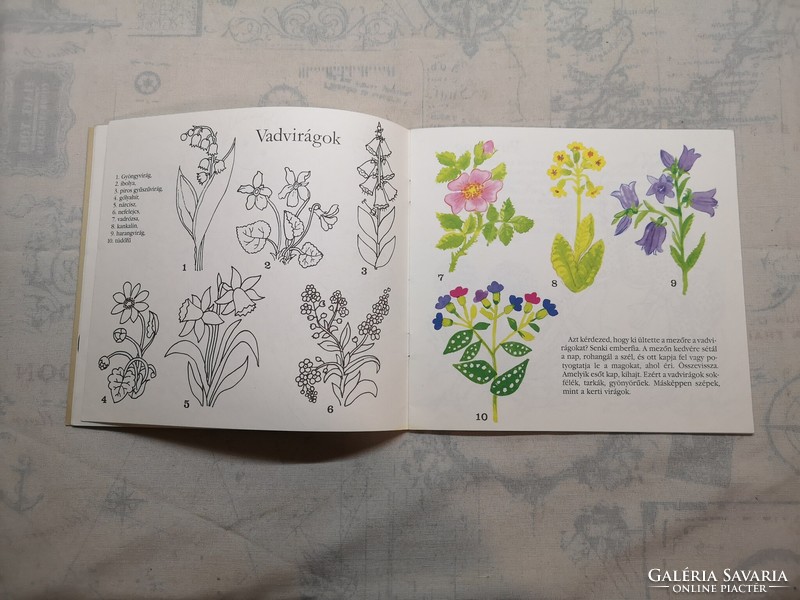 Kun Magda - Virágom, virágom... - Foglalkoztató könyv