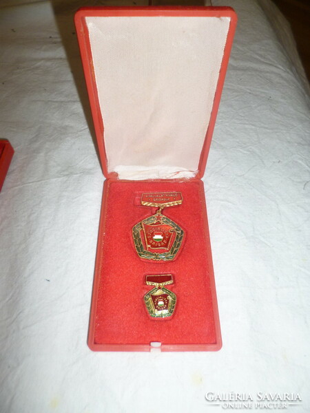 Old excellent socialist brigade badge with miniature in box