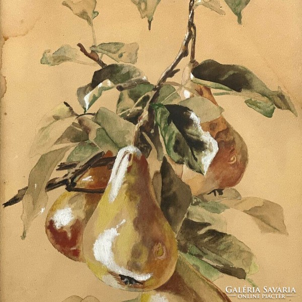 Zieek h. Marked, around 1910: pear branch f00513