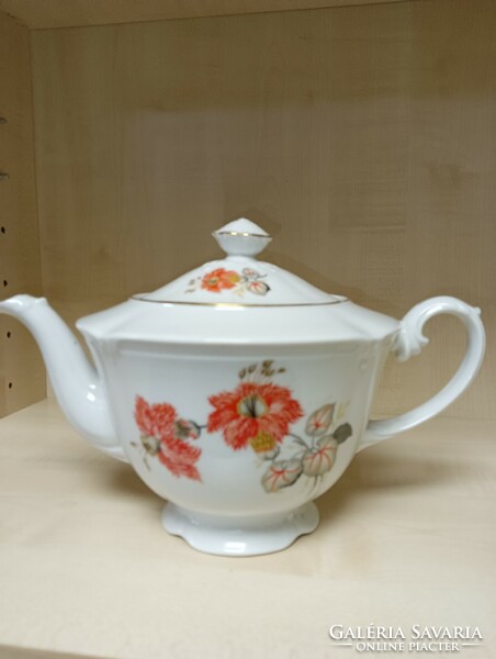 Porcelain drasche teapot