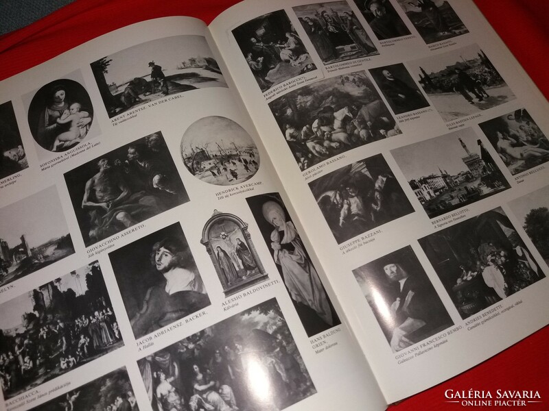 1976. Garas skärmä: the fine arts museum book according to the pictures corvina