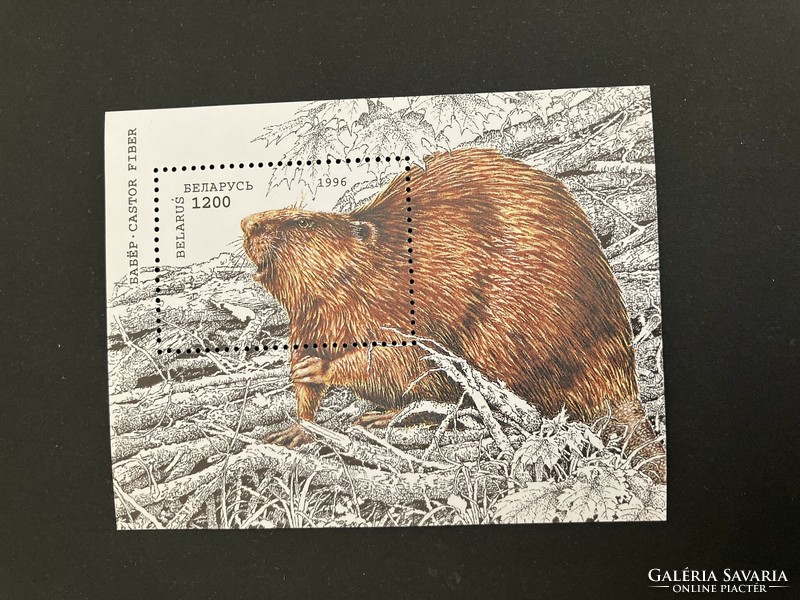 Eurasian beaver / castor fiber stamp block