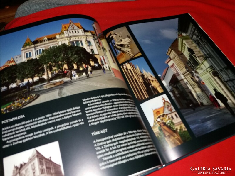 2010. Ágnes Fucskár: Pécs the colorful city book according to the pictures Alexandra