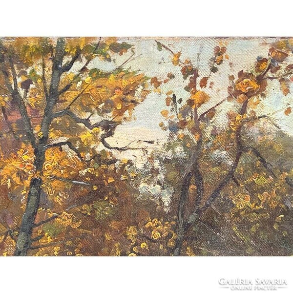 Hans klein: autumn forest with stream f00478