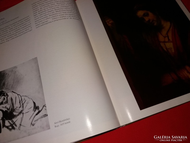 19767.Mojzer Miklós - Holland életképek MAGYARORSZÁGI MÚZEUMOKBAN album könyv képek szerint CORVINA