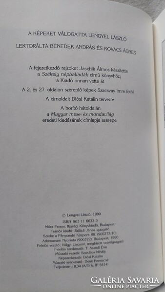 Elek Benedek's memorial book (b01)
