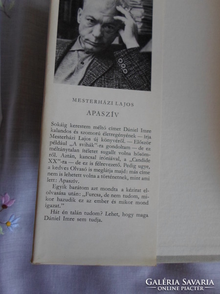 Mesterházi Lajos: Apaszív (Szépirodalmi, 1971; magyar irodalom, regény)