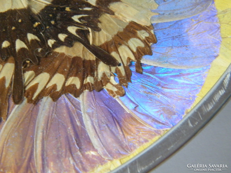 Iridescent butterfly wing ornate bowl, wall bowl in the condition shown in the pictures. 24 Cm in diameter.