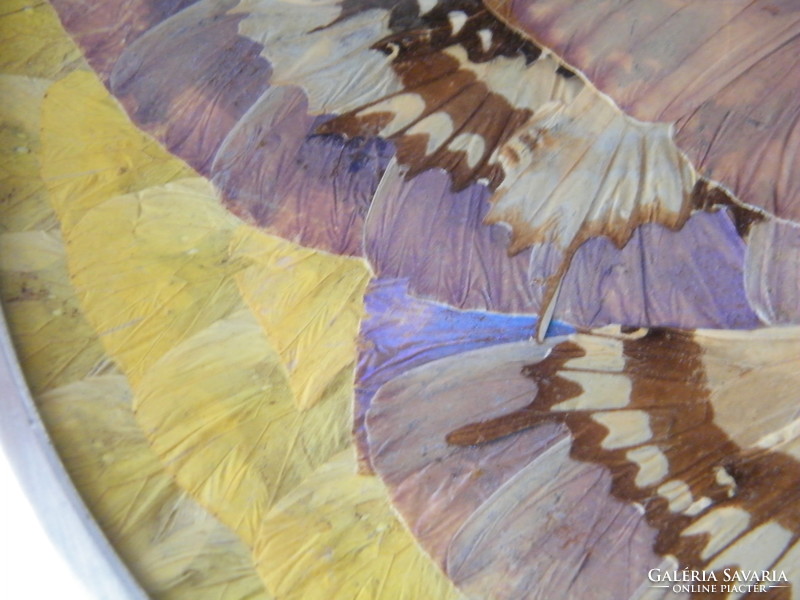 Irizáló pillangószárny díszes tál, falitál a képeken látható állapotban. 24 cm átmérőjű.
