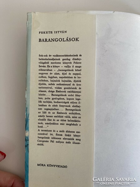 Fekete István Barangolások elbeszélések 1968 Móra Könyvkiadó Budapest