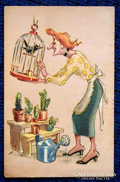 Old humorous graphic postcard - beauty of beauty - or something like that