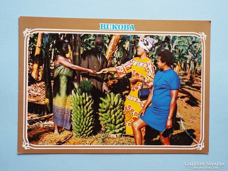 Postcard (12) - tanzania - bukoba - banana business 1980s