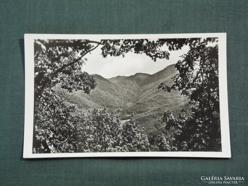 Postcard, sylvásvárad, beech, slajka valley, view detail