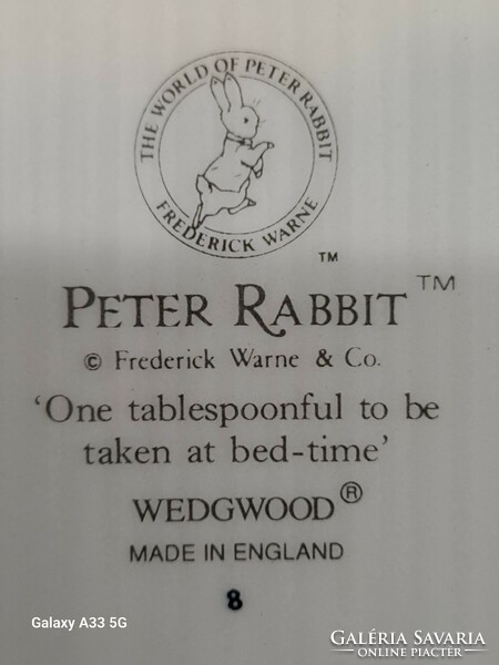 Wedgwood English porcelain flat children's plate set with peter rabbit decor