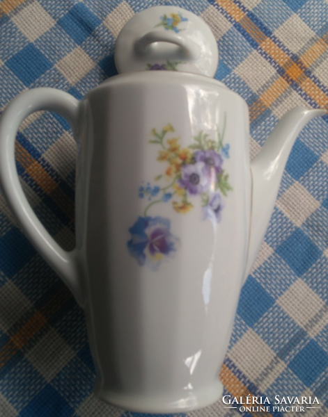 Teapot, large size spout