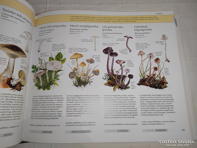 Albert valéria - gabriella dibás (ed.): Handbook for nature lovers