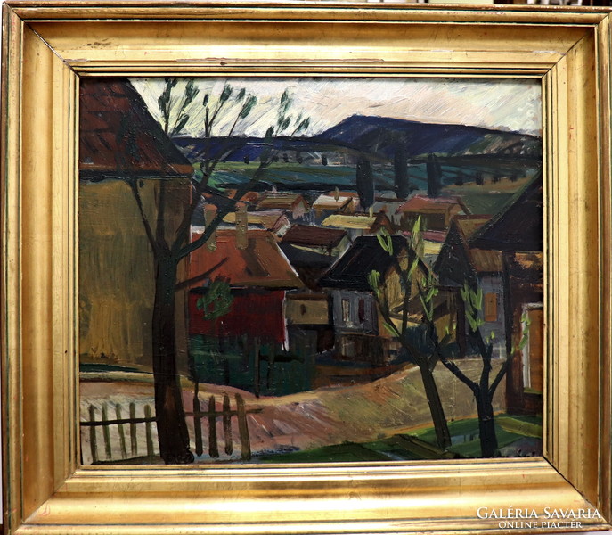 József Szamosvár: colorful houses, with guarantee