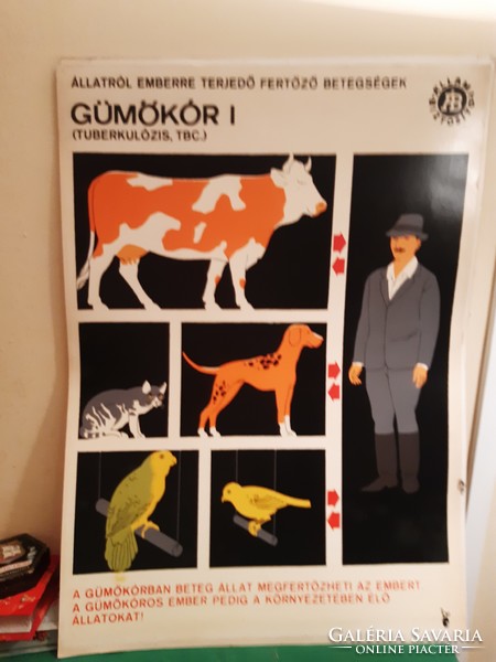 3 veterinary illustrative posters