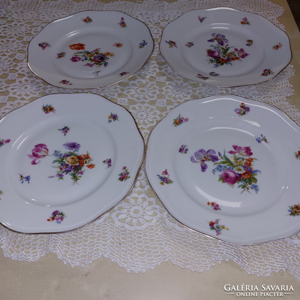 Pirken hammer beautiful flower patterned plates with gold edges