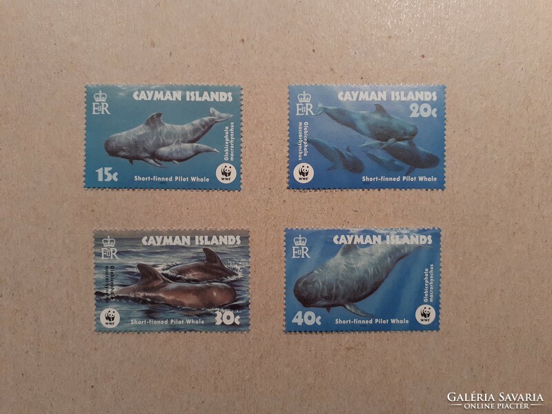 Kajmán-szigetek-Fauna, WWF, Cetfélék 2003