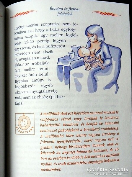 Schäffer beáta: a handbook for entrepreneurs for babies
