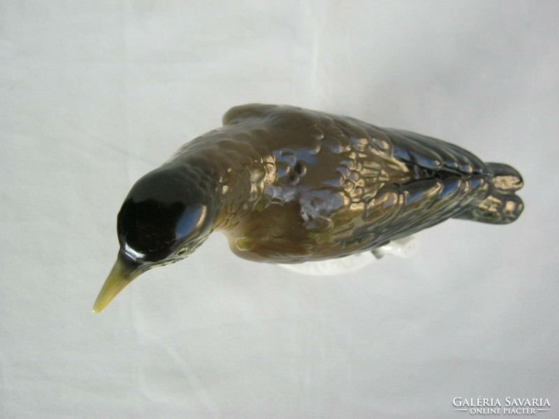 Volkstedt porcelán madár fenyő rigó 16 cm