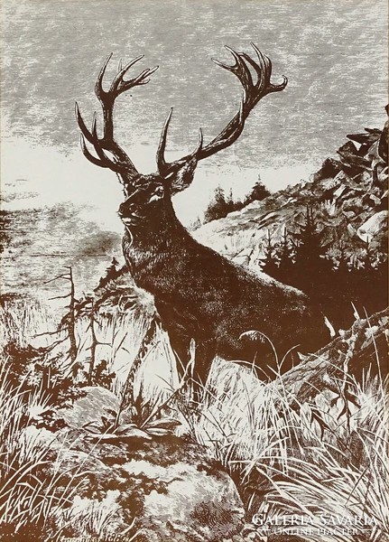 1L144 xix. After a century artist: deer print