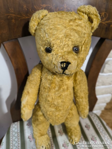 Antique teddy bear, teddy bear, beautiful lovely collection decoration