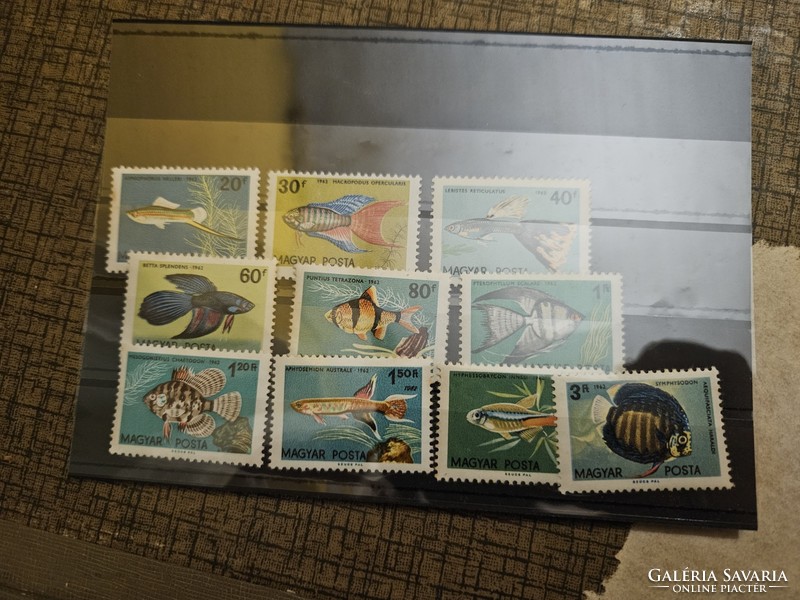 1962-es Akváriumi díszhalak bélyeg sor ISMERT TÉVNYOMATTAL **