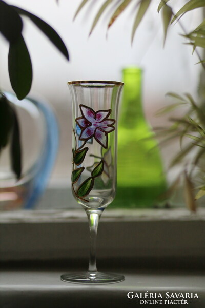 Hand painted glass glass, champagne glass