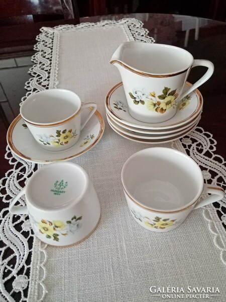 Hollóháza porcelain coffee set: cup (4 pcs), saucer (10 pcs) and 1 pourer