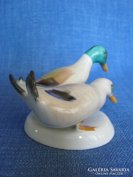 Pair of Aquincumi porcelain ducks