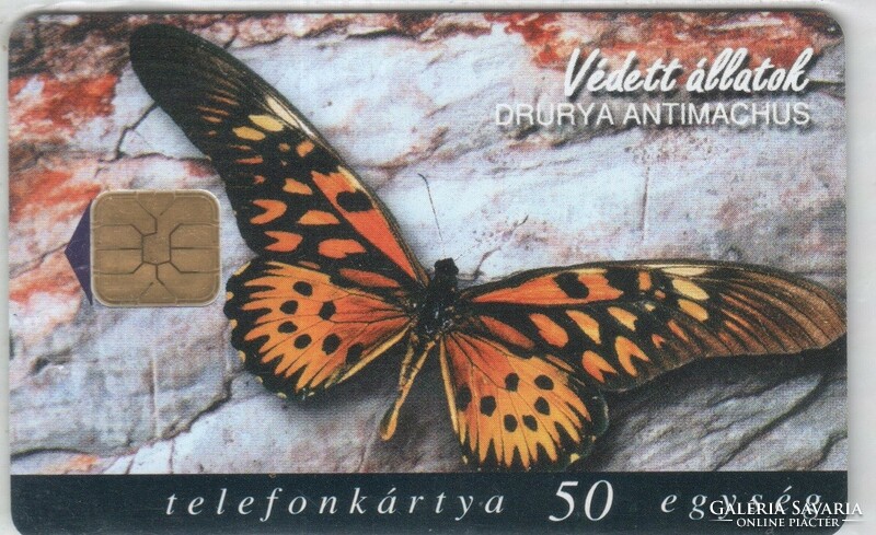 Hungarian telephone card 0297 1998 butterfly 200,000 pcs
